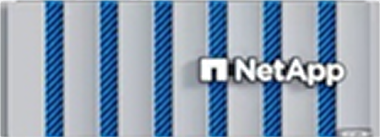 NetApp AFF A Series