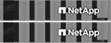 NetApp FAS Series